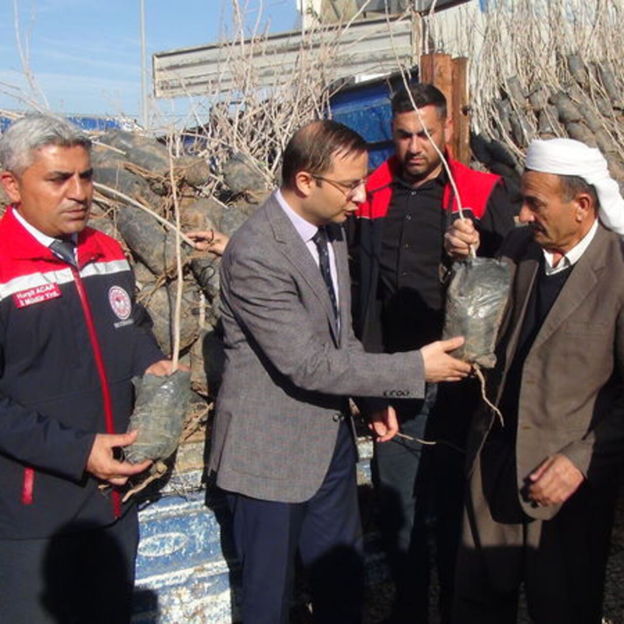 Cizre'de 17 bin fıstık ve badem fidanı dağıtıldı