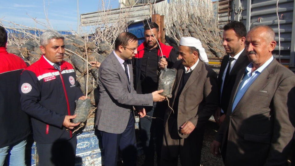 Cizre'de 17 bin fıstık ve badem fidanı dağıtıldı