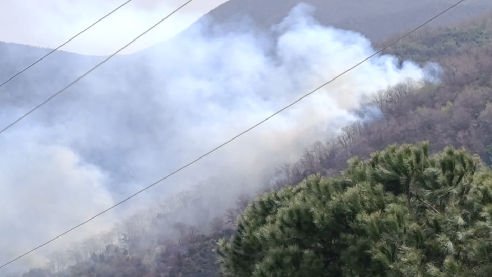 İki kentte orman yangını!