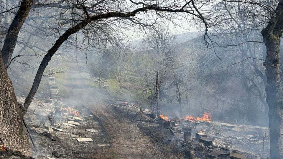 Balıkesir'de orman yangını