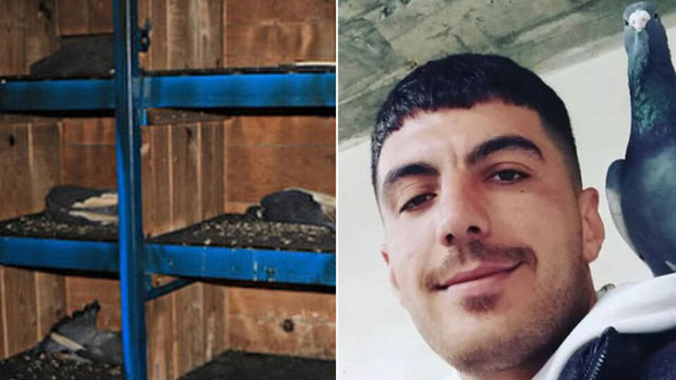 İki kuzen sosyal medyada küfürleşti... 'Kuş dolabı' cinneti!