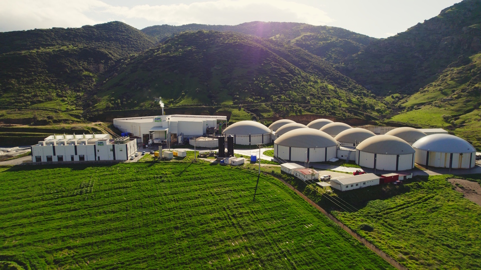 ARF Bio halka arza hazırlanıyor