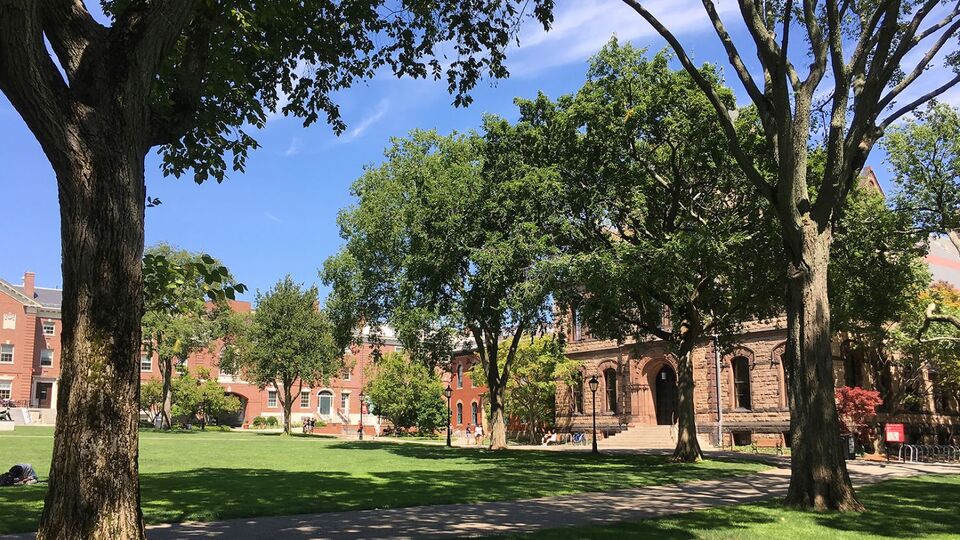 ABD, Lübnanlı profesörü 'kurallara uymadan' ülkeden kovdu