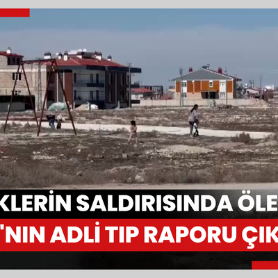 Sokak köpeklerinin saldırısında ölen Rana'nın Adli Tıp raporu çıktı