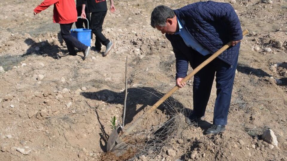 Atıl okul bahçeleri meyve bahçesine dönüşüyor