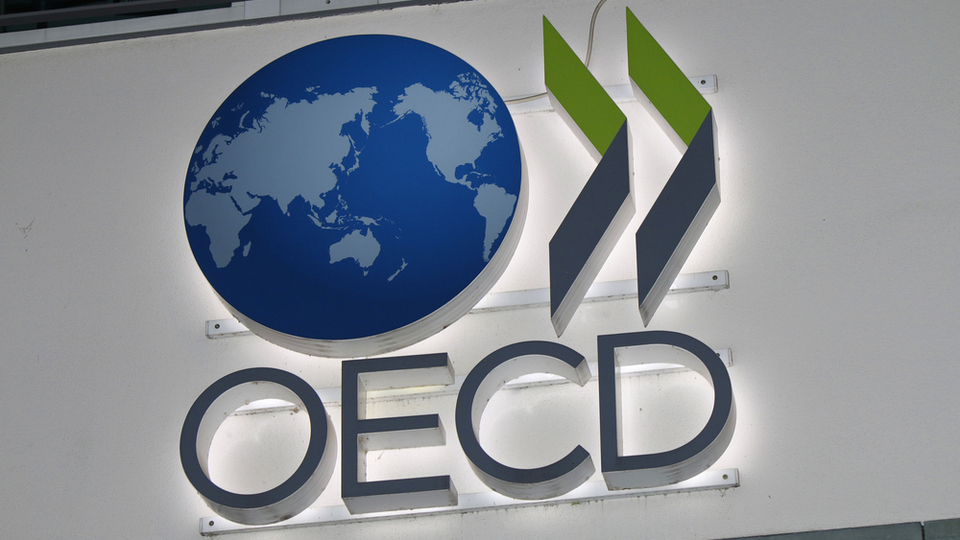 OECD, Türkiye için 2025 büyüme tahminini yükseltti