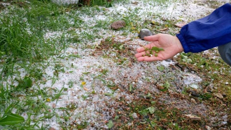 Ankara Valiliği'nden "zirai don" uyarısı