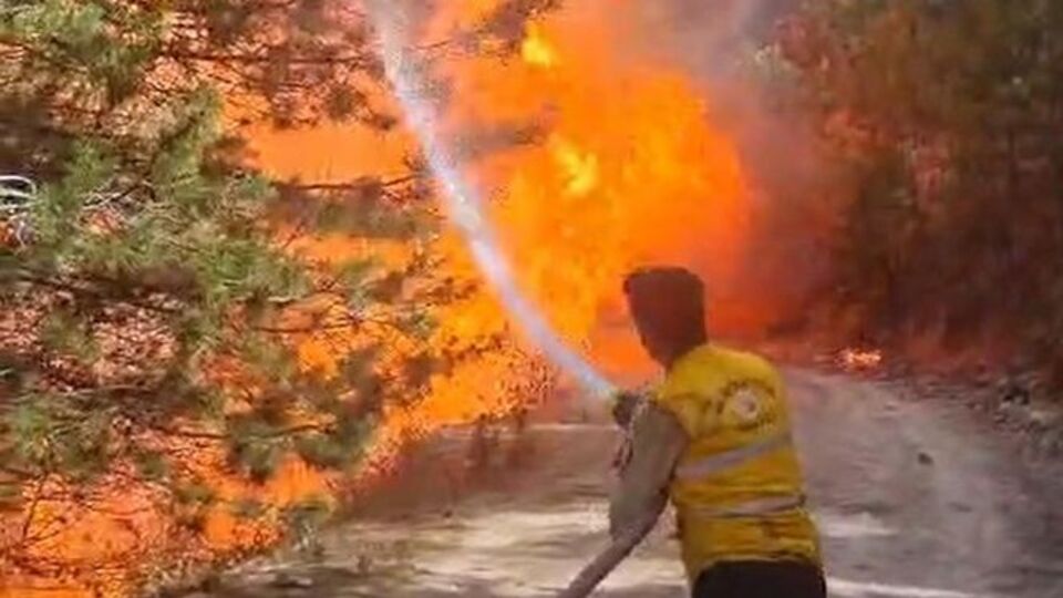 Aydın'da orman yangını çıktı