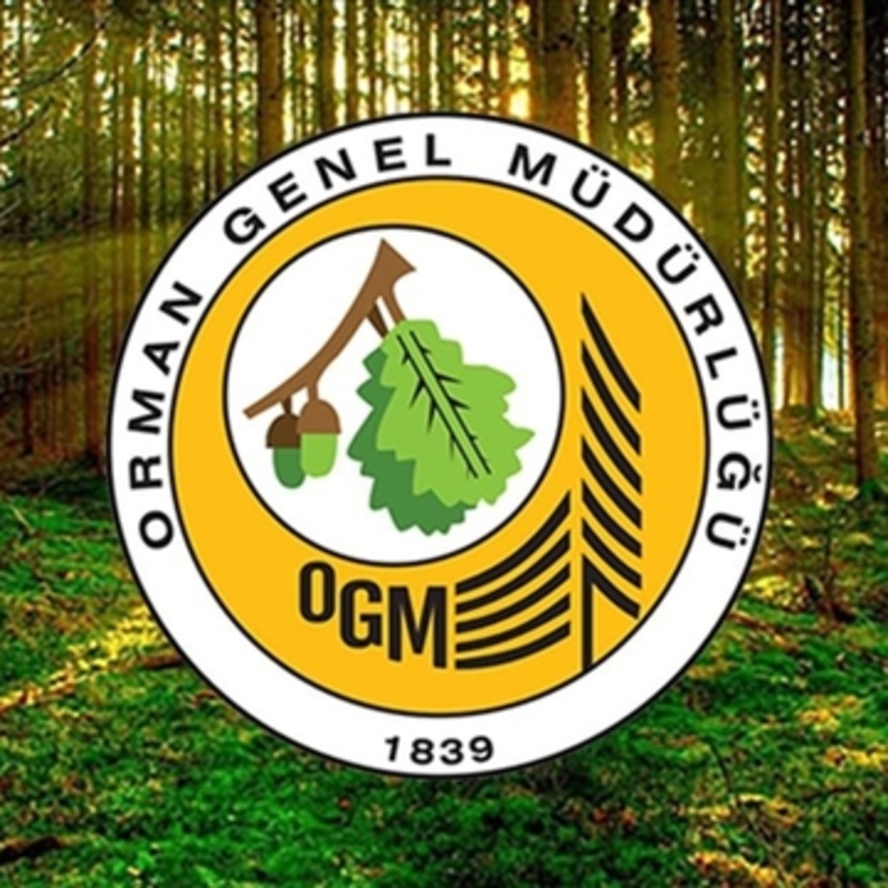 OGM 3477 destek personeli alıyor