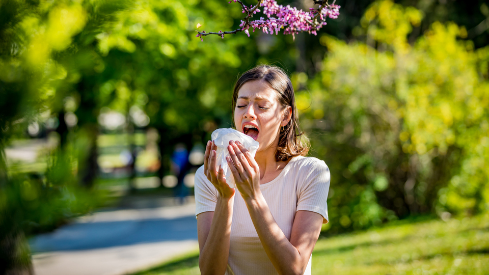 "Alerji mevsimi" başladı! İşte yapılacaklar listesi