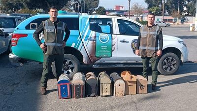 Mersin'de horoz dövüşü cezası: 74 bin lira