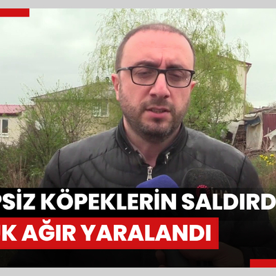 Bakkala giderken sahipsiz köpeklerin saldırdığı çocuk ağır yaralandı