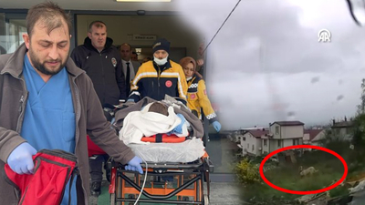 Yine köpek saldırısı: Çocuğun durumu ağır