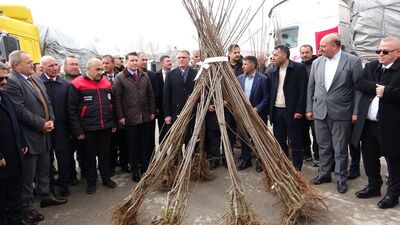 Van'da 640 bin adet fidan dağıtıldı