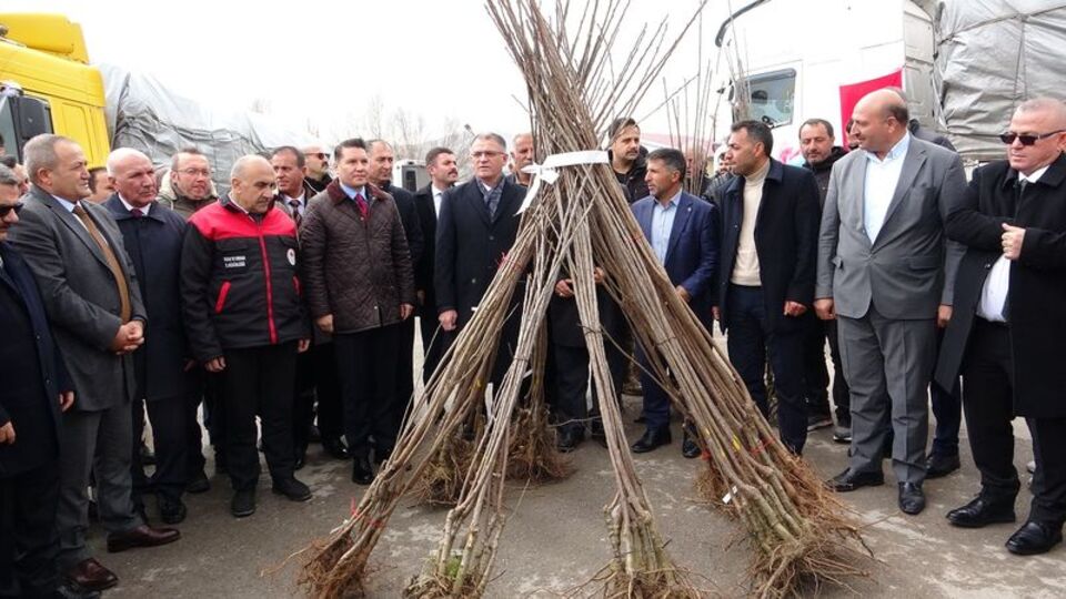 Van'da 640 bin adet fidan dağıtıldı