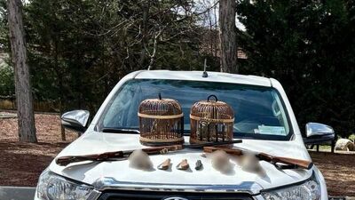 Afyonkarahisar'da "keklik" cezası: 132 bin 220 lira