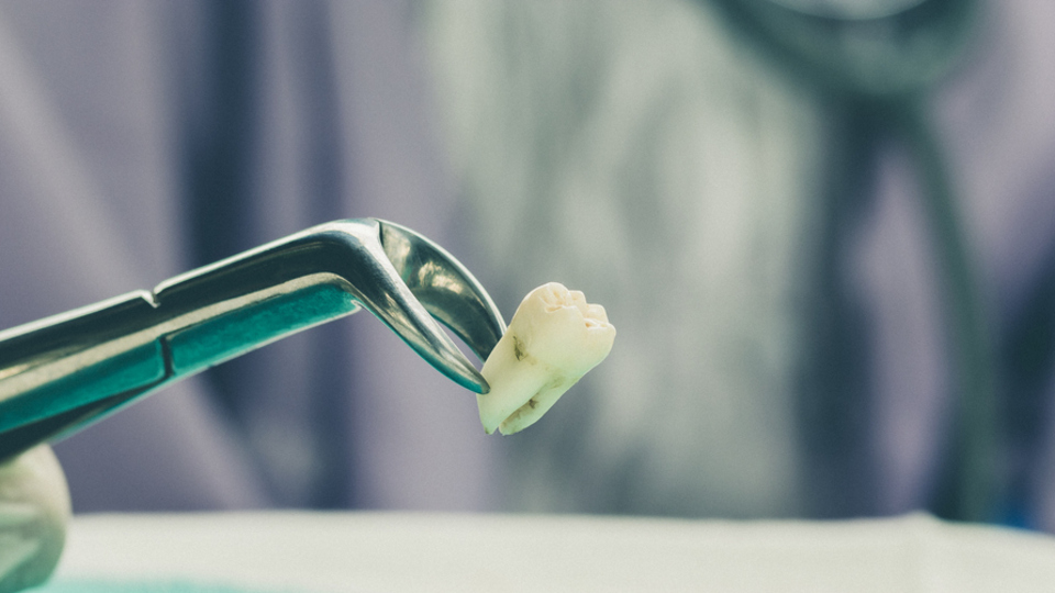 Dişi çekildikten sonra kanaması durdurulamayan Toprak öldü