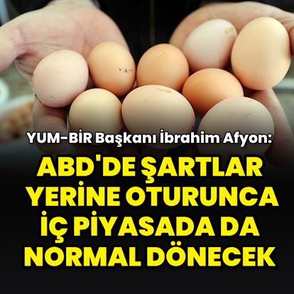 "ABD'de şartlar yerine oturunca iç piyasada da normal dönecek"