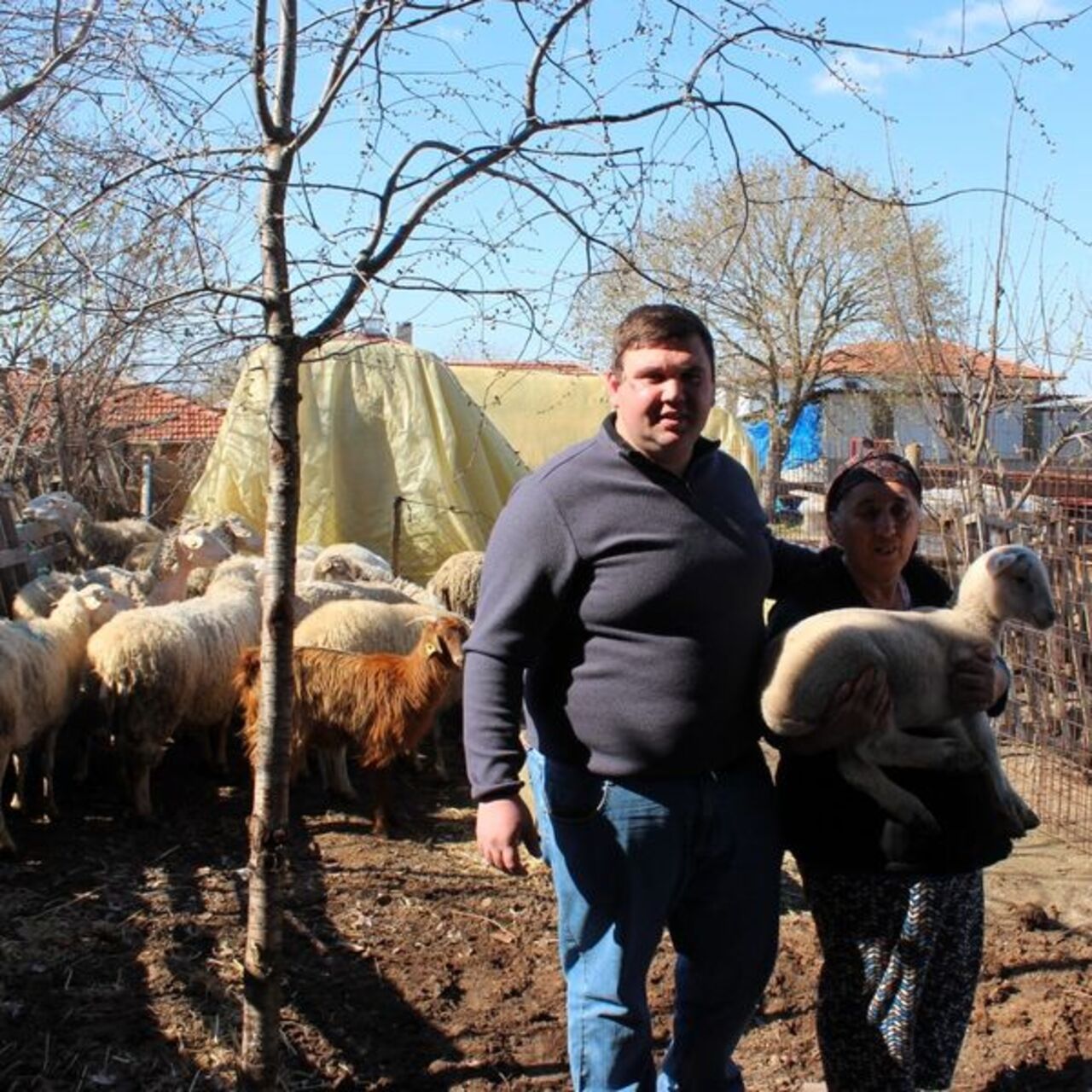 Yangında hayvanları ölen besiciye destek