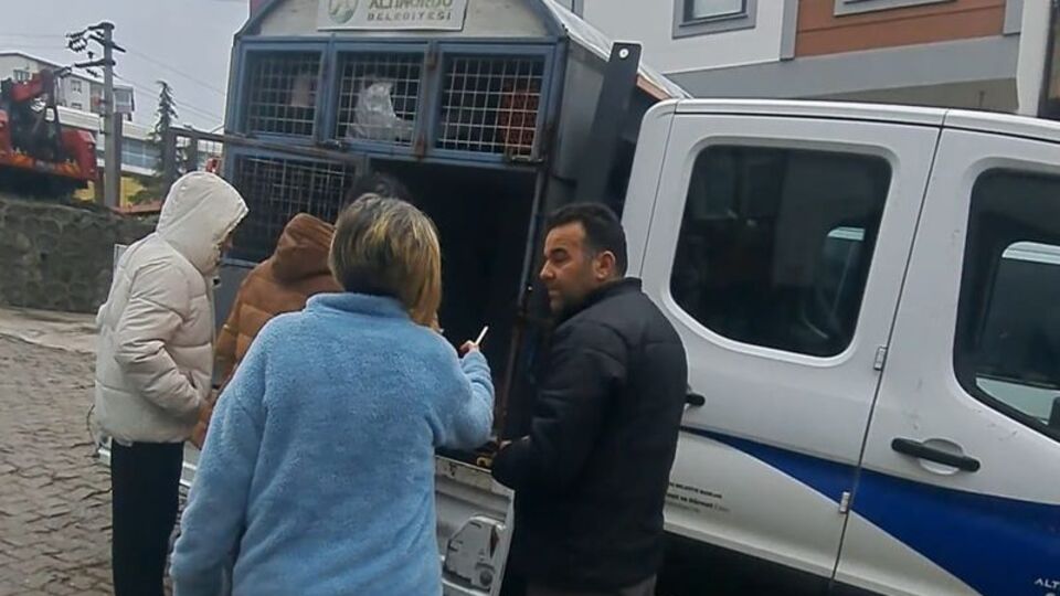 Yavru köpekleri ezip yoluna devam etti