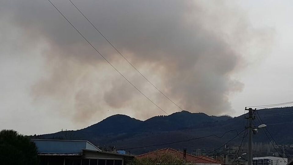 Balıkesir'de orman yangını