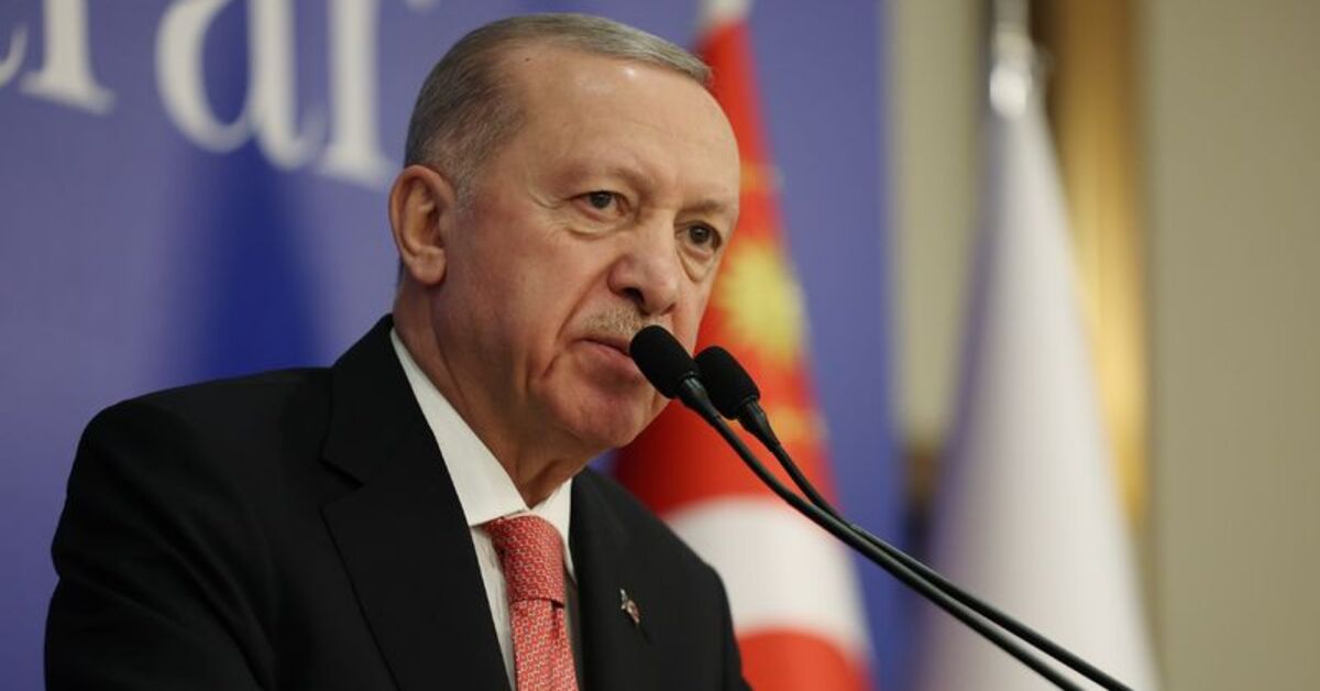 A Milli Takım Kutlama