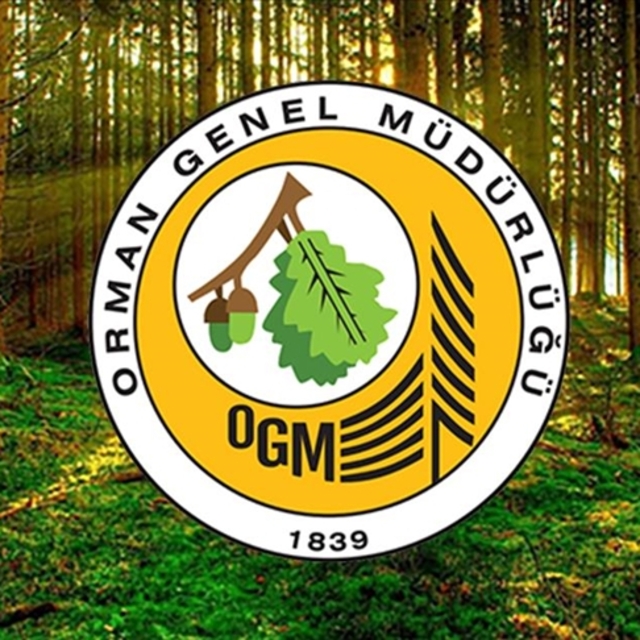 OGM 3 bin 477 personel alıyor!