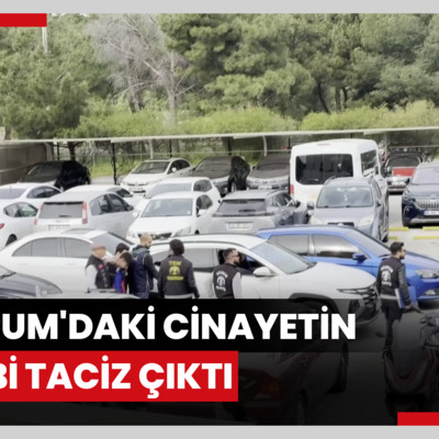Bodrum'daki cinayetin sebebi taciz çıktı