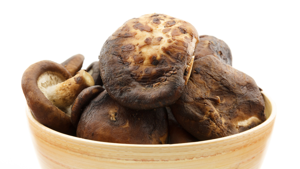 Çukur Çanak Mantarı Yenir Mi?