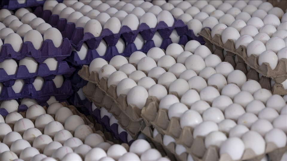 Sofralık yumurta ihracatında fon kesintisi yükseltildi