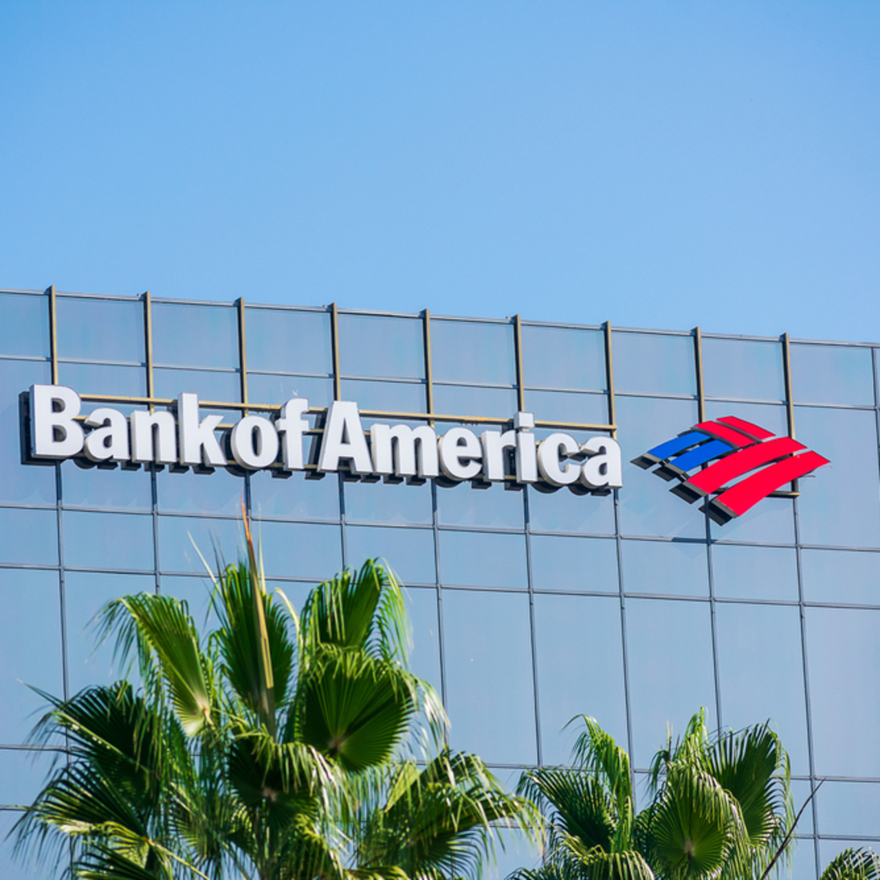 BofA'dan Türkiye değerlendirmesi