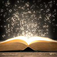 Fiilde çatı konu anlatımı