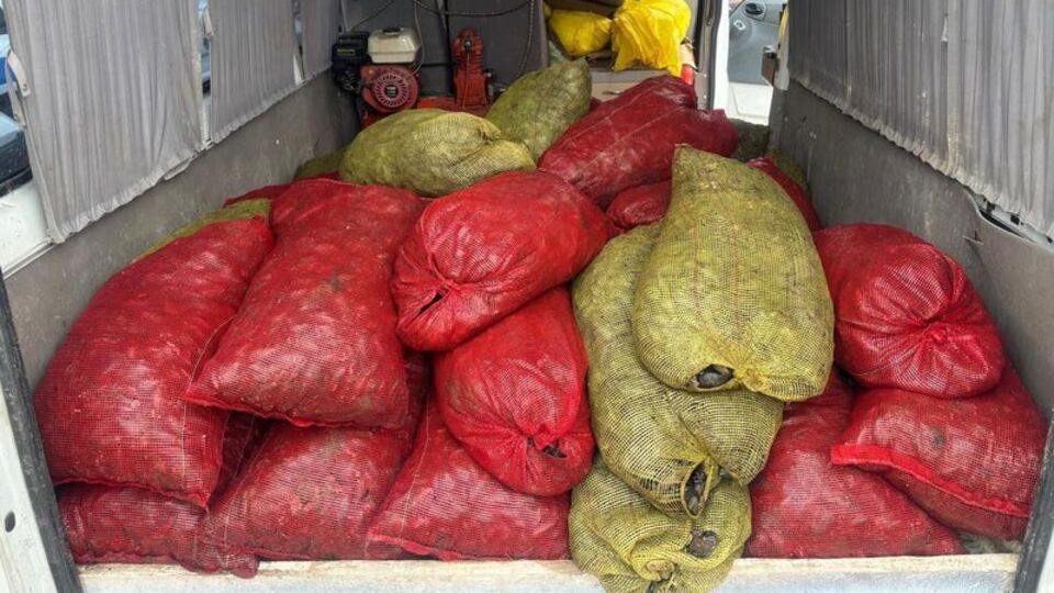 Kaçak avlanan 1,5 ton midye ele geçirildi