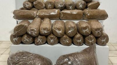 210 kilogram kaçak tütün ele geçirildi