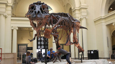 Gobi Çölü'nde keşfedildi... Pençesi 2 parmaklı!