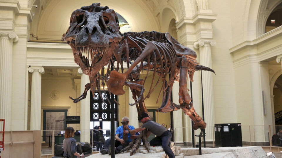 Gobi Çölü'nde keşfedildi... Pençesi 2 parmaklı!