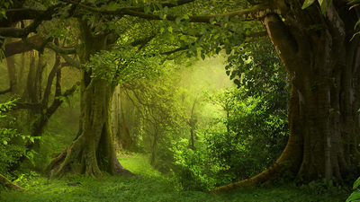 BIST Sürdürülebilirlik Endeksine girdi