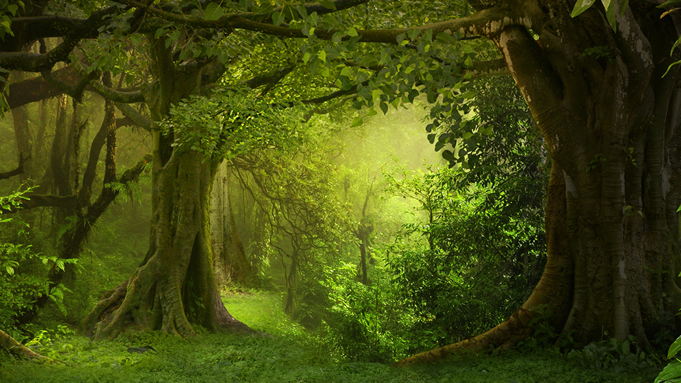 BIST Sürdürülebilirlik Endeksine girdi