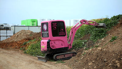 Küçük kızı istedi, pembeye boyattı