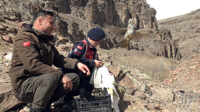 Keklik avına 176 bin 510 lira ceza