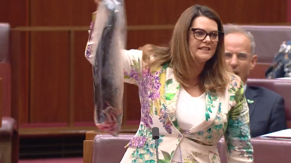 Kürsüye somonla geldi