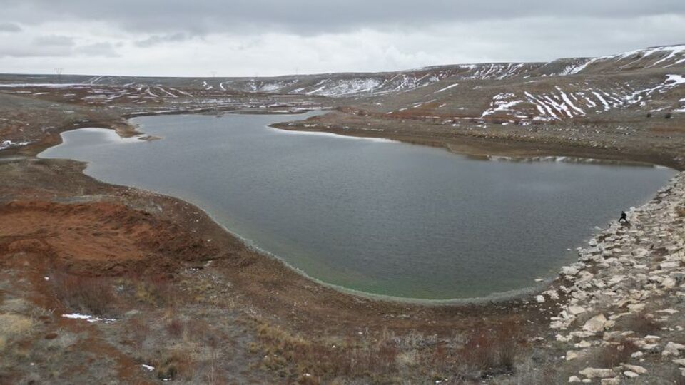 Baraj göletinde toplu balık ölümleri