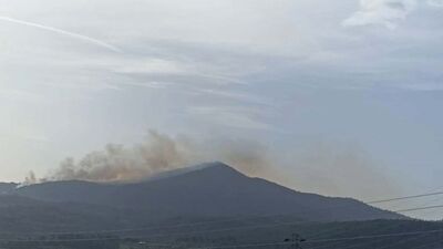 Milas'ta ormanlık alanda yangın çıktı
