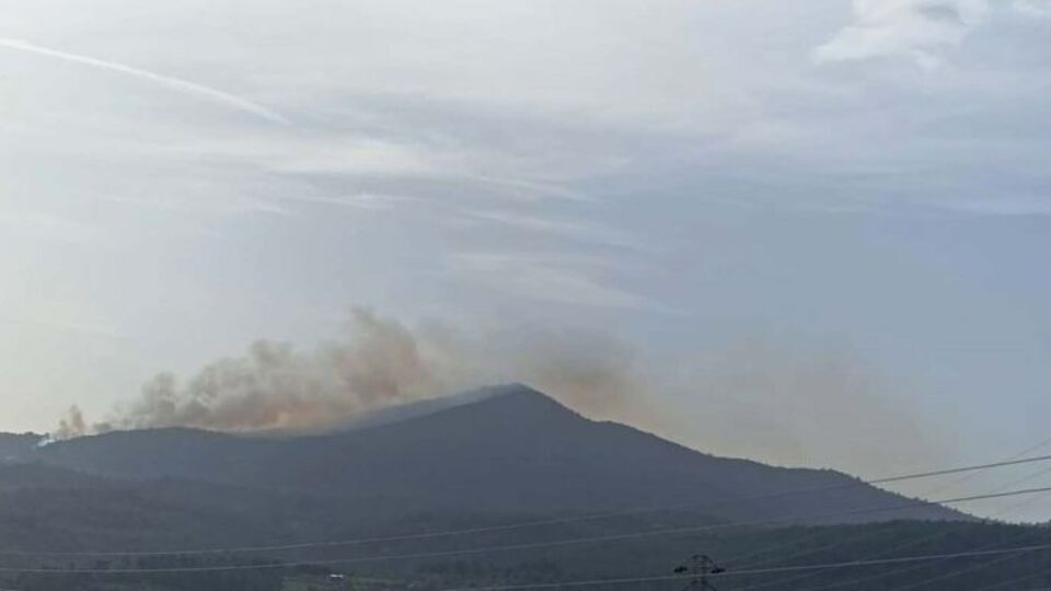 Milas'ta ormanlık alanda yangın çıktı