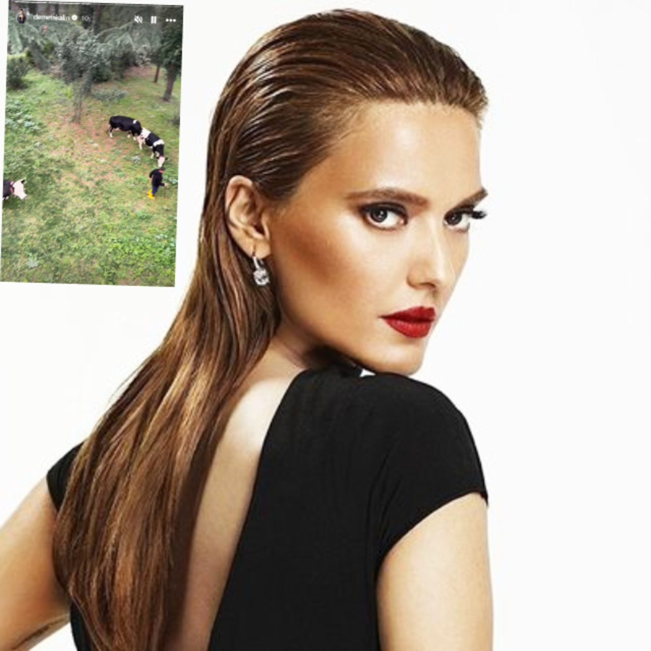 İneklere özel konser