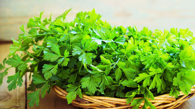 Hamilelikte maydanoz yenir mi?