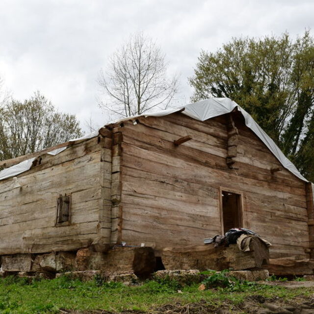 8 asırlık tarihi çivisiz ahşap camide restorasyon