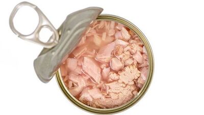 Hamilelikte ton balığı yenir mi?