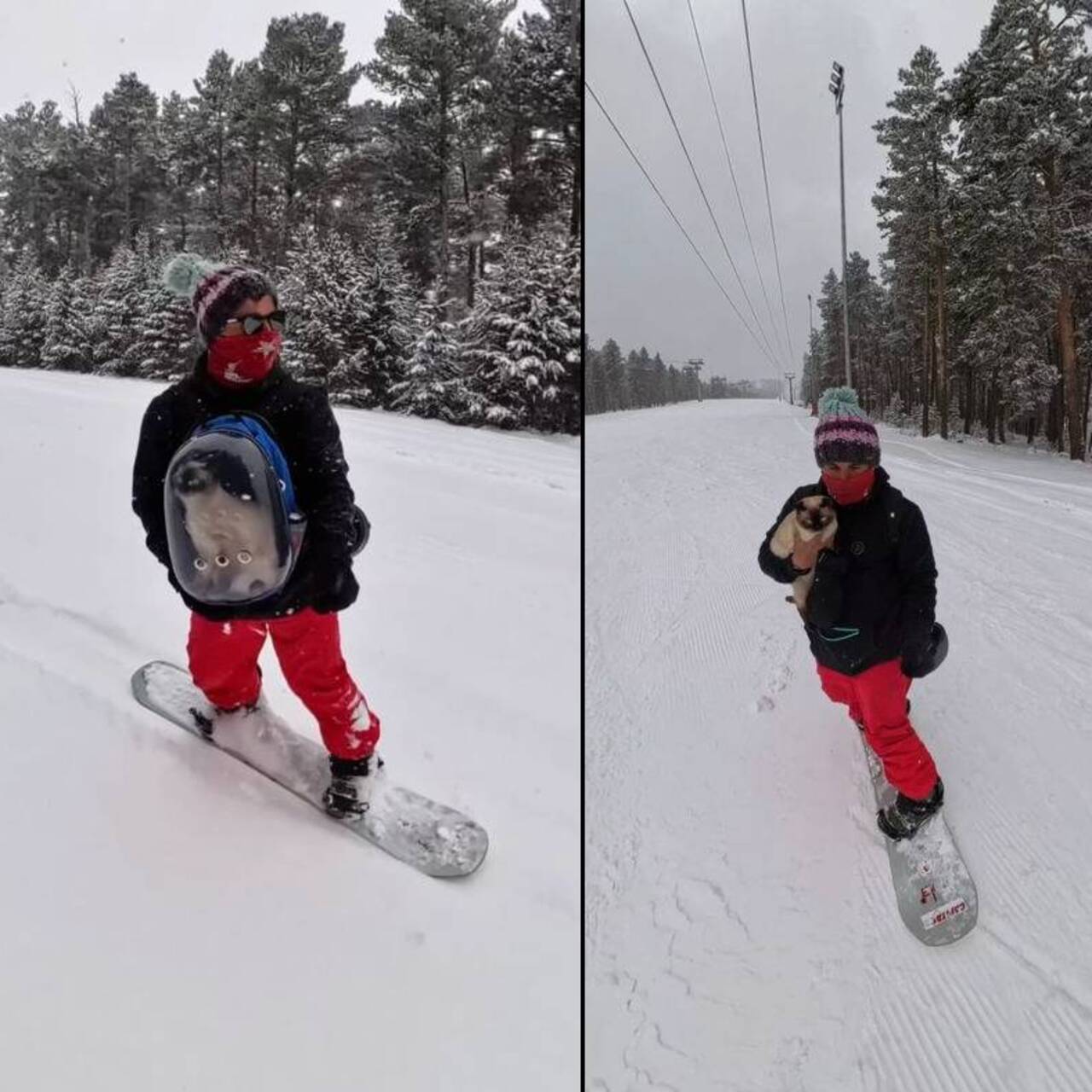 Kedisiyle snowboard yaptı