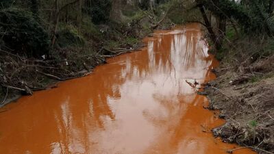 Derenin rengi kırmızıya döndü
